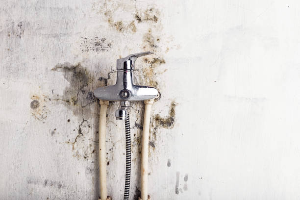 Best Residential Mold Remediation in Barnesville, GA