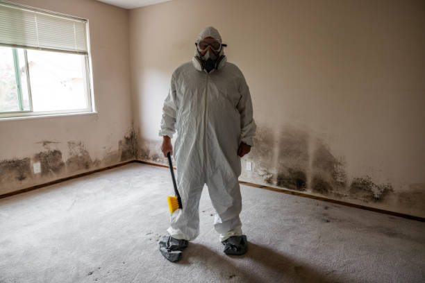 Best Insurance-Related Mold Remediation in Barnesville, GA